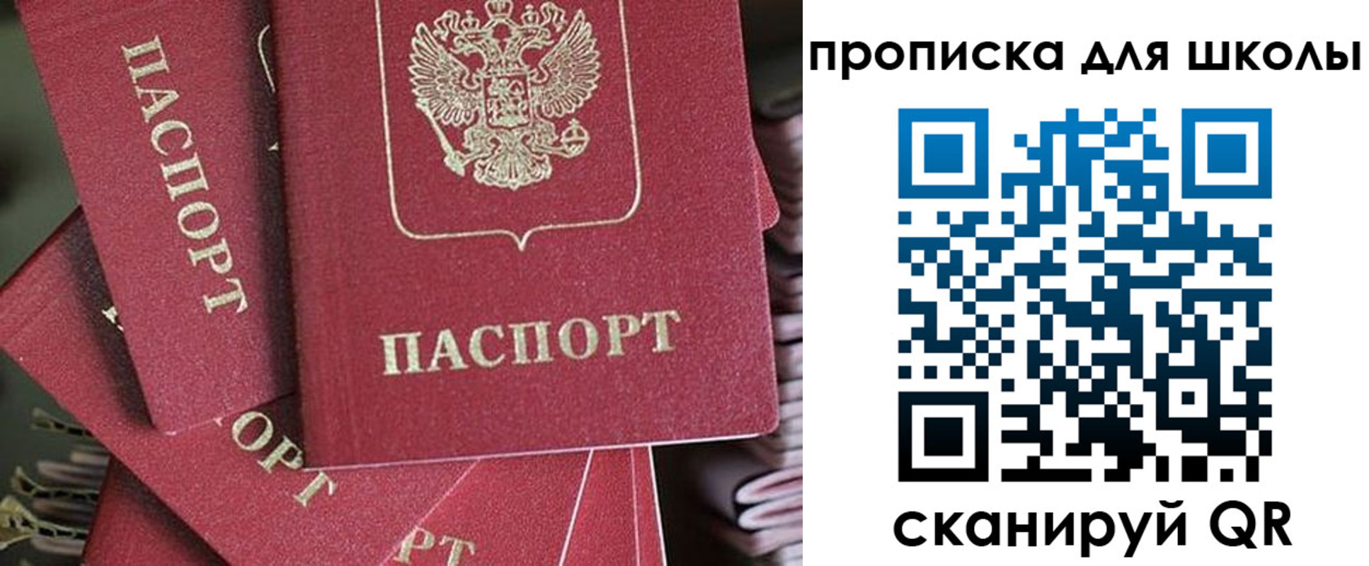 прописка для школы в Раменском
