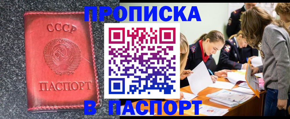 прописка для школы в Раменском